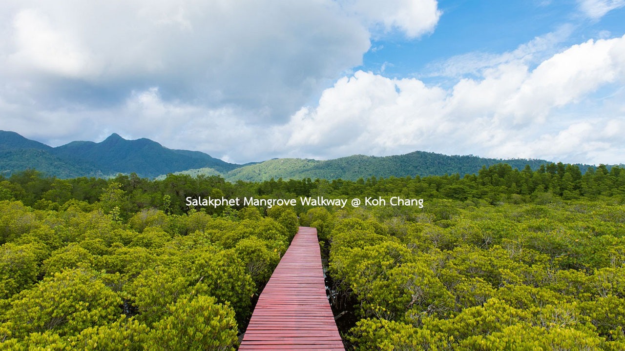 Salakphet Mangrove Walkway, koh chang