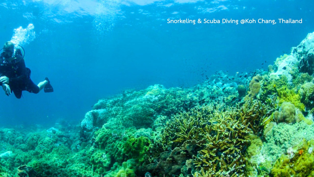 Snorkeling Scuba Diving @KohCHang