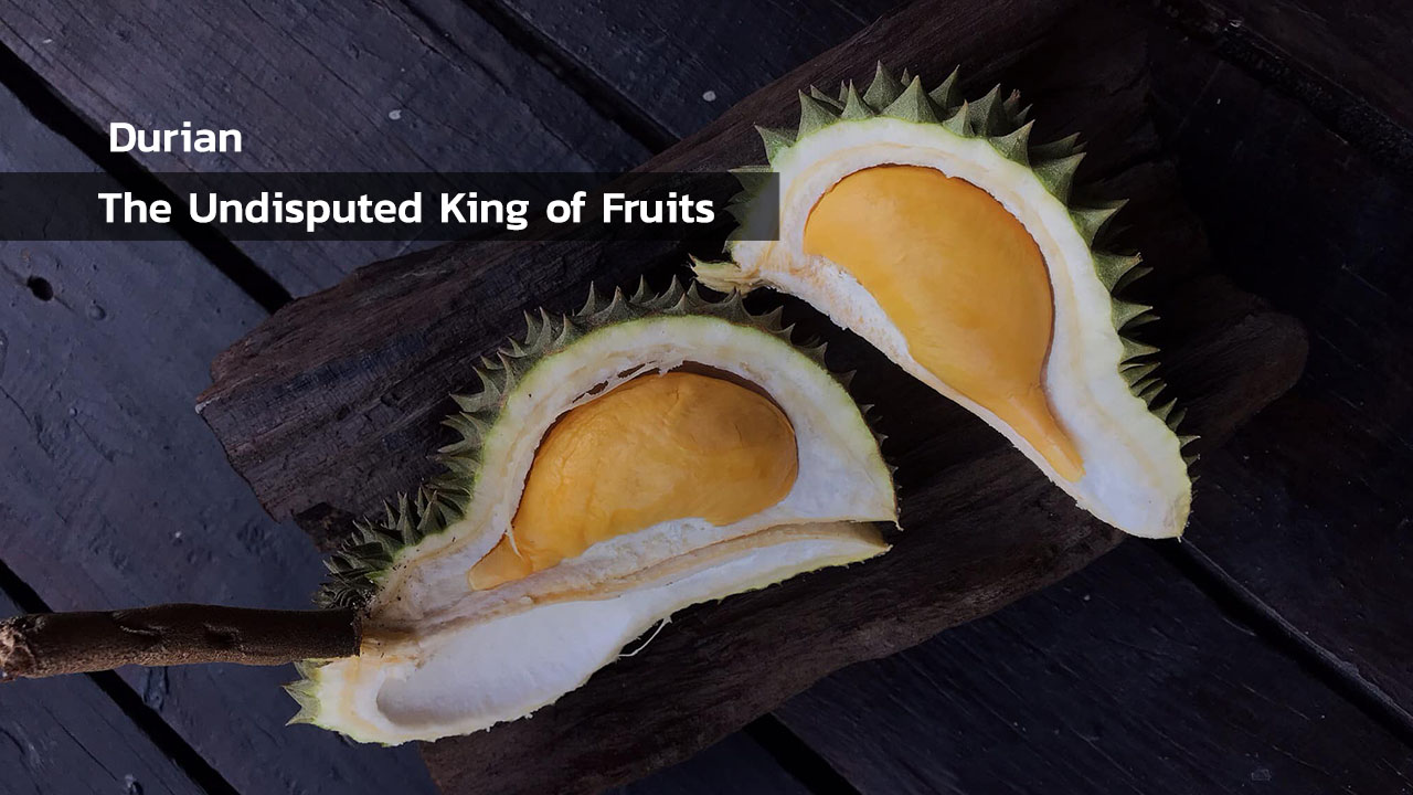 Durian King of Thai Fruits