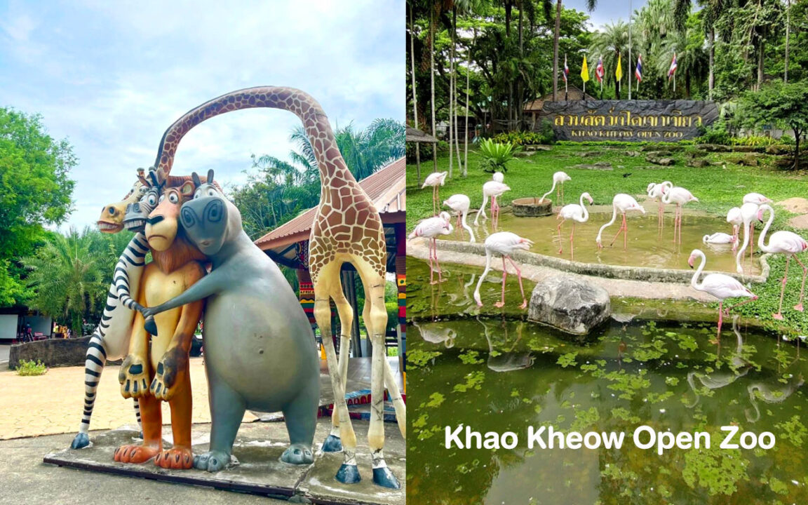Khao Kheow Open Zoo