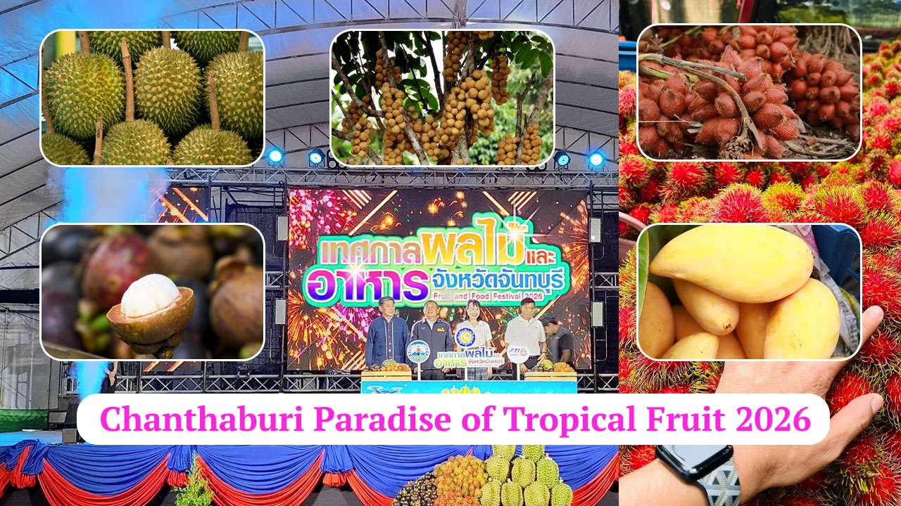 Thailand Fruit Festival, Chanthaburi The Tropical Paradise May 1 – 5 2026