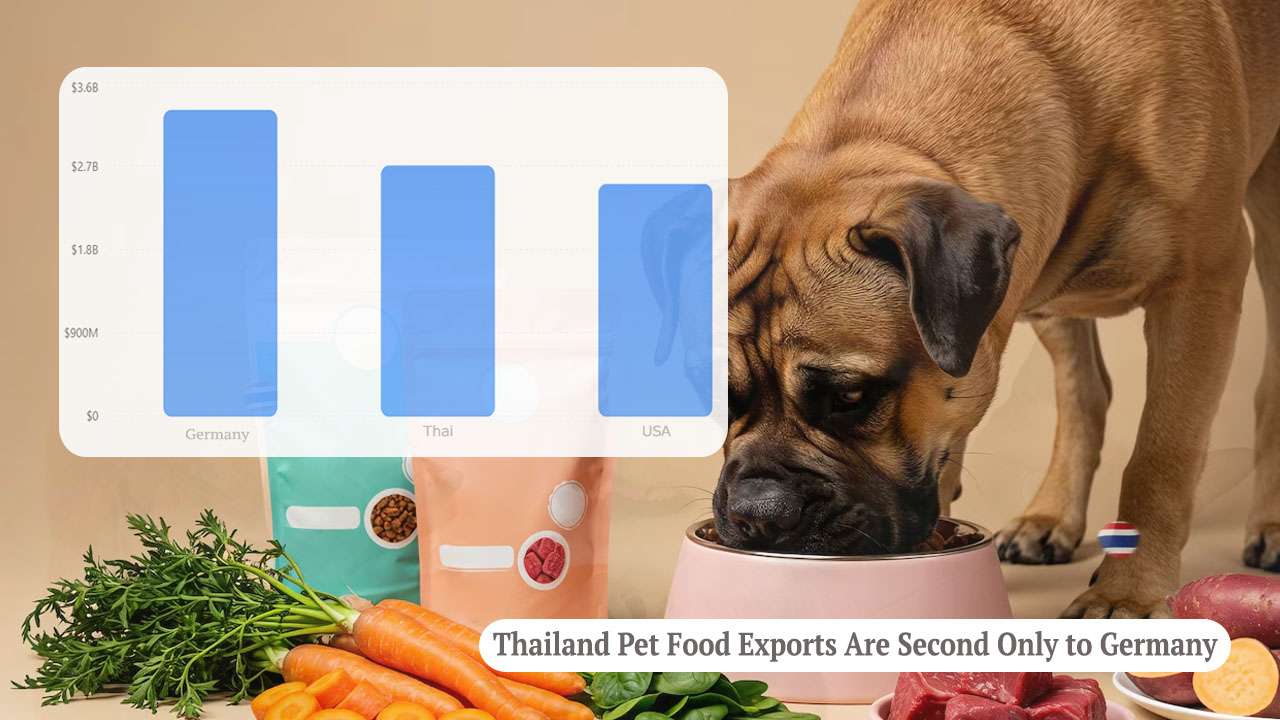 Thailand Pet Food Exports